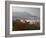 Morning Fog, Castelluccio Di Norcia, Highland of Castelluccio Di Norcia, Norcia, Umbria, Italy-Angelo Cavalli-Framed Photographic Print