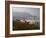 Morning Fog, Castelluccio Di Norcia, Highland of Castelluccio Di Norcia, Norcia, Umbria, Italy-Angelo Cavalli-Framed Photographic Print