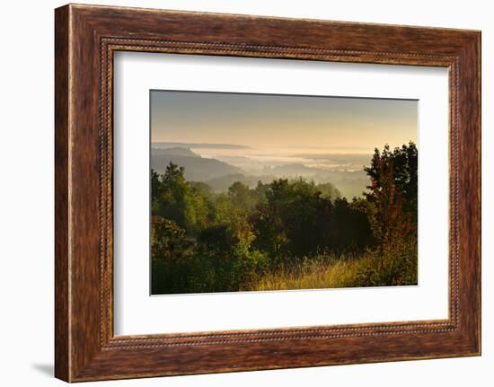 Morning Fog in the Saale Valley, Near Naumburg, Burgenlandkreis, Saxony-Anhalt, Germany-Andreas Vitting-Framed Photographic Print