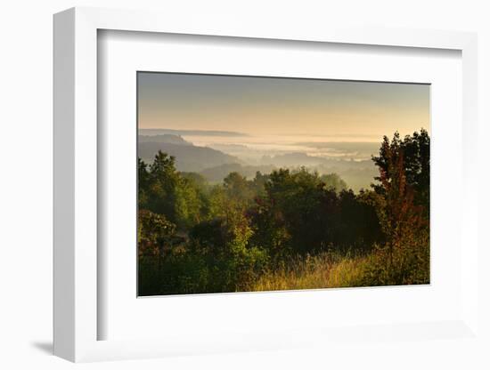 Morning Fog in the Saale Valley, Near Naumburg, Burgenlandkreis, Saxony-Anhalt, Germany-Andreas Vitting-Framed Photographic Print