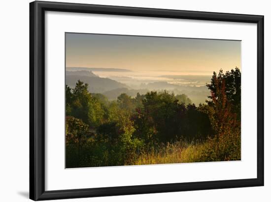 Morning Fog in the Saale Valley, Near Naumburg, Burgenlandkreis, Saxony-Anhalt, Germany-Andreas Vitting-Framed Photographic Print