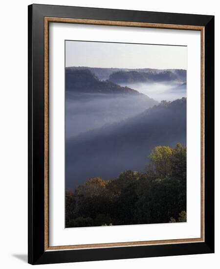 Morning Fog on Ridges of Red River Gorge Geological Area, Great Smokey Mountains National Park, TN-Adam Jones-Framed Photographic Print