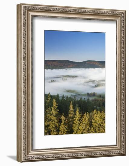 Morning fog over the Schluchsee, Black Forest, Baden-Wurttemberg, Germany-Markus Lange-Framed Photographic Print