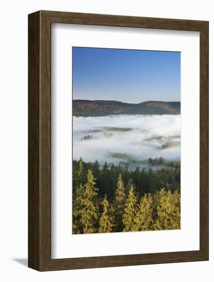 Morning fog over the Schluchsee, Black Forest, Baden-Wurttemberg, Germany-Markus Lange-Framed Photographic Print