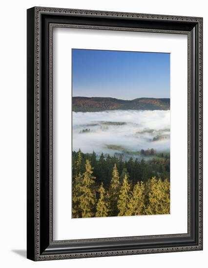 Morning fog over the Schluchsee, Black Forest, Baden-Wurttemberg, Germany-Markus Lange-Framed Photographic Print