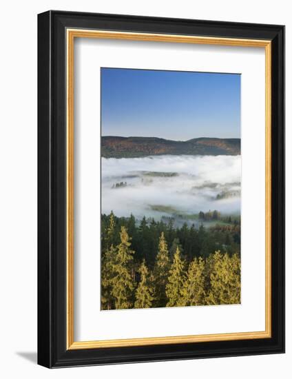 Morning fog over the Schluchsee, Black Forest, Baden-Wurttemberg, Germany-Markus Lange-Framed Photographic Print