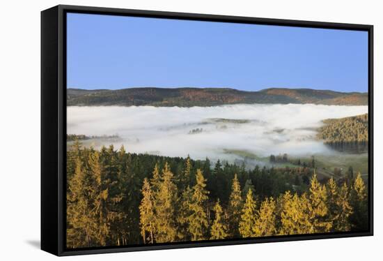 Morning fog over the Schluchsee, Black Forest, Baden-Wurttemberg, Germany-Markus Lange-Framed Stretched Canvas