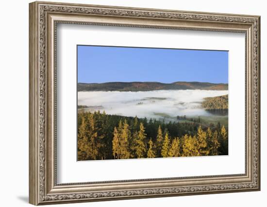 Morning fog over the Schluchsee, Black Forest, Baden-Wurttemberg, Germany-Markus Lange-Framed Photographic Print