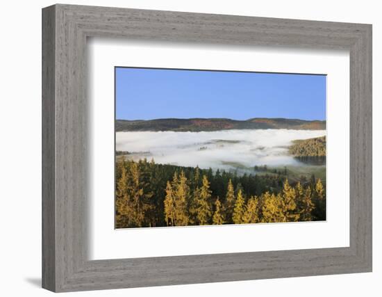 Morning fog over the Schluchsee, Black Forest, Baden-Wurttemberg, Germany-Markus Lange-Framed Photographic Print