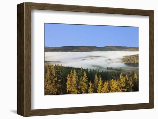 Morning fog over the Schluchsee, Black Forest, Baden-Wurttemberg, Germany-Markus Lange-Framed Photographic Print