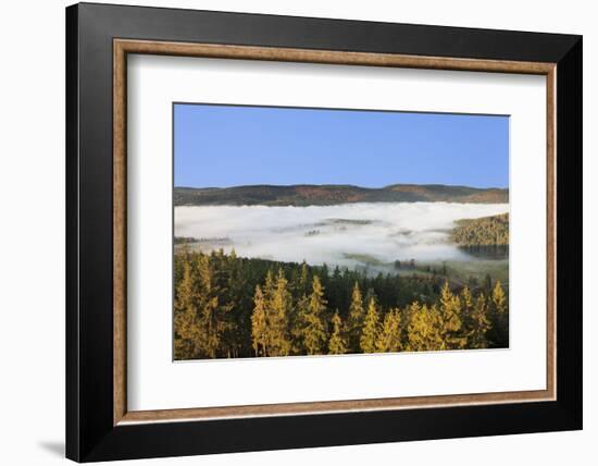 Morning fog over the Schluchsee, Black Forest, Baden-Wurttemberg, Germany-Markus Lange-Framed Photographic Print