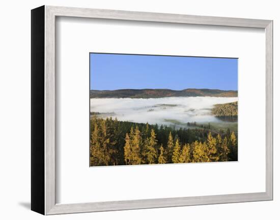 Morning fog over the Schluchsee, Black Forest, Baden-Wurttemberg, Germany-Markus Lange-Framed Photographic Print