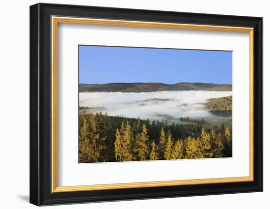 Morning fog over the Schluchsee, Black Forest, Baden-Wurttemberg, Germany-Markus Lange-Framed Photographic Print
