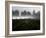 Morning Fog Rises from a Vineyard North of Sonoma, Calif.-null-Framed Photographic Print