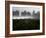 Morning Fog Rises from a Vineyard North of Sonoma, Calif.-null-Framed Photographic Print