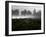 Morning Fog Rises from a Vineyard North of Sonoma, Calif.-null-Framed Photographic Print