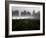 Morning Fog Rises from a Vineyard North of Sonoma, Calif.-null-Framed Photographic Print