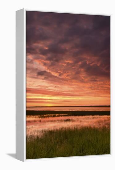 Morning Fury-Michael Blanchette Photography-Framed Premier Image Canvas