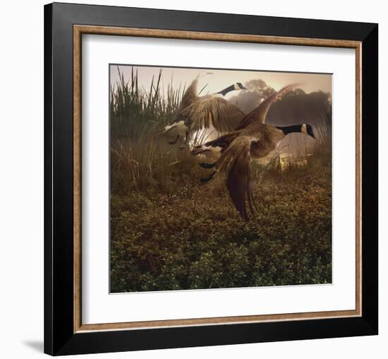 Morning Geese-Steve Hunziker-Framed Art Print