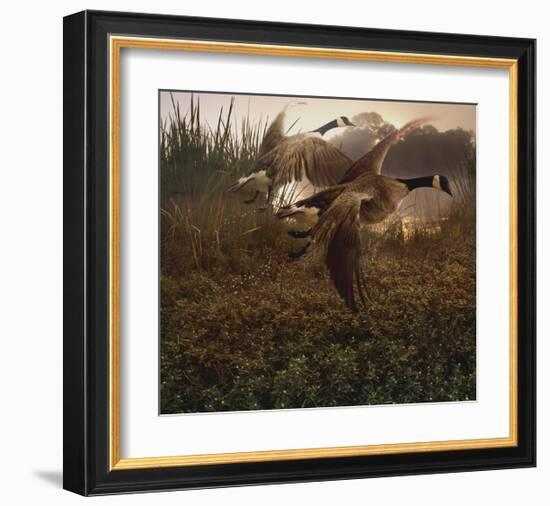 Morning Geese-Steve Hunziker-Framed Art Print