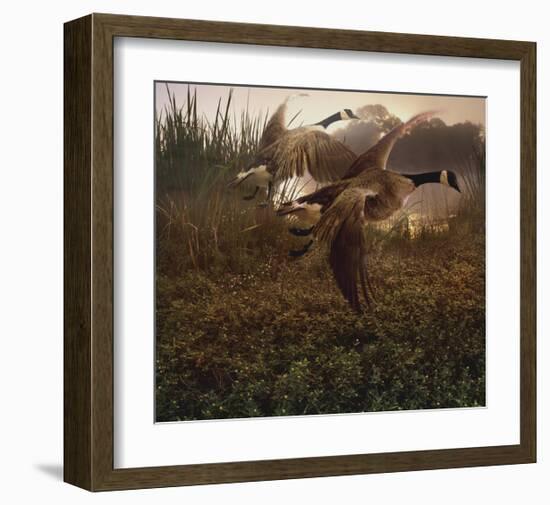 Morning Geese-Steve Hunziker-Framed Art Print