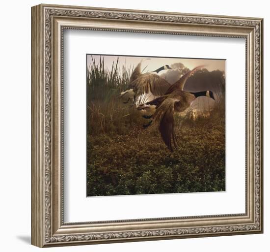 Morning Geese-Steve Hunziker-Framed Art Print