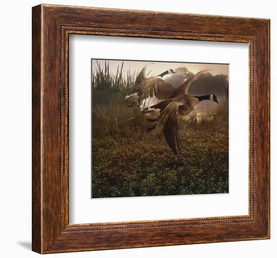 Morning Geese-Steve Hunziker-Framed Art Print