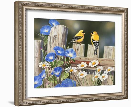 Morning Glories and Finches-William Vanderdasson-Framed Giclee Print