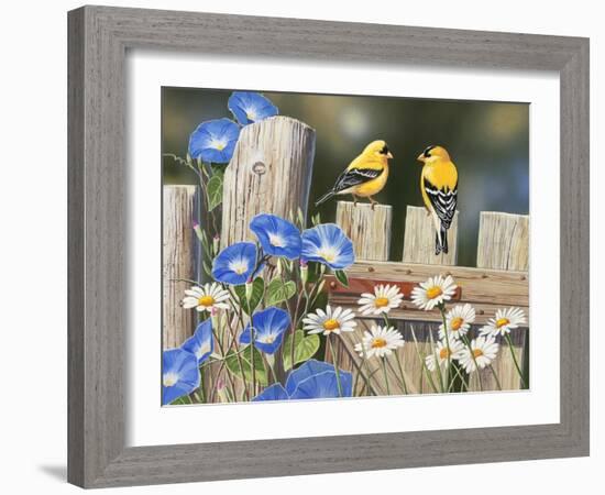 Morning Glories and Finches-William Vanderdasson-Framed Giclee Print