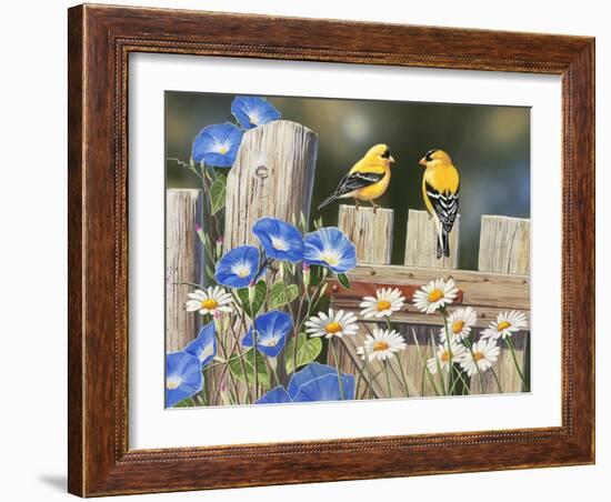 Morning Glories and Finches-William Vanderdasson-Framed Giclee Print