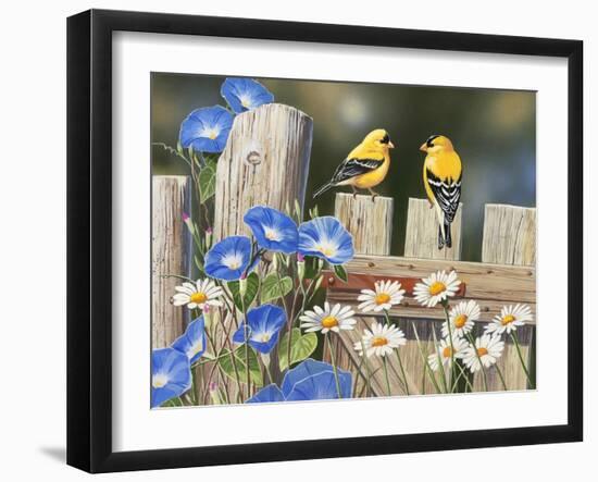 Morning Glories and Finches-William Vanderdasson-Framed Giclee Print