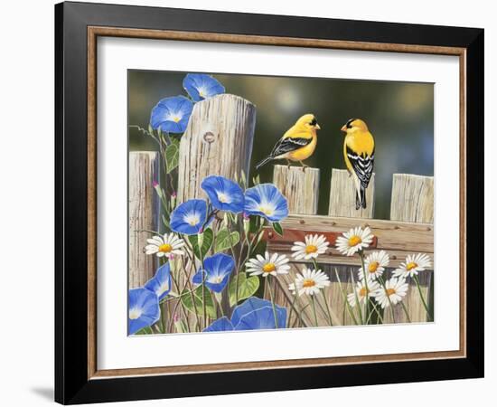 Morning Glories and Finches-William Vanderdasson-Framed Giclee Print