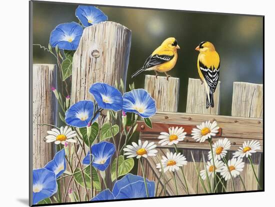 Morning Glories and Finches-William Vanderdasson-Mounted Giclee Print