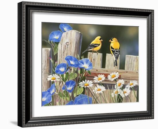 Morning Glories and Finches-William Vanderdasson-Framed Giclee Print