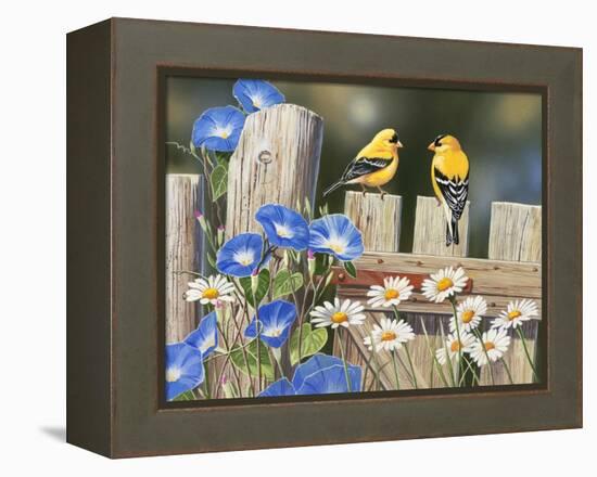 Morning Glories and Finches-William Vanderdasson-Framed Premier Image Canvas
