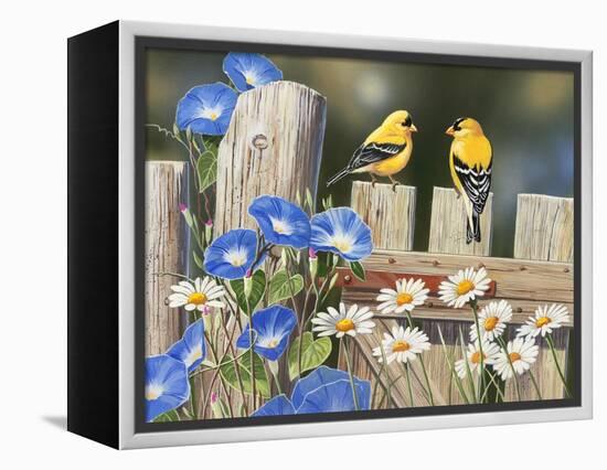 Morning Glories and Finches-William Vanderdasson-Framed Premier Image Canvas