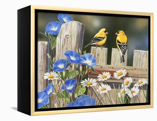 Morning Glories and Finches-William Vanderdasson-Framed Premier Image Canvas