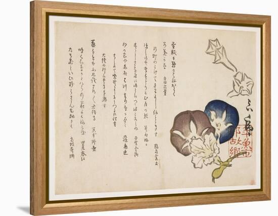 Morning Glories, C.1830-?ishi Matora-Framed Premier Image Canvas