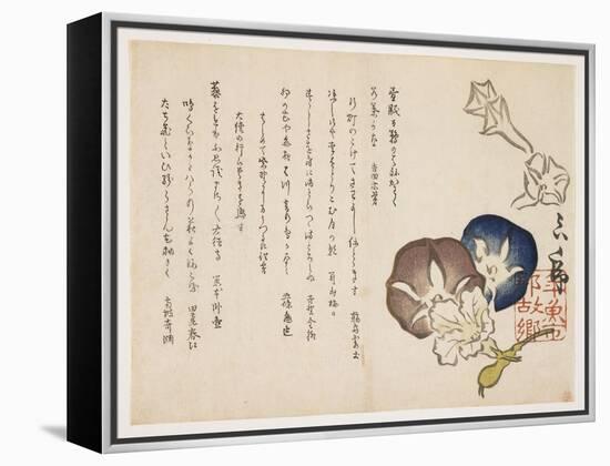 Morning Glories, C.1830-?ishi Matora-Framed Premier Image Canvas