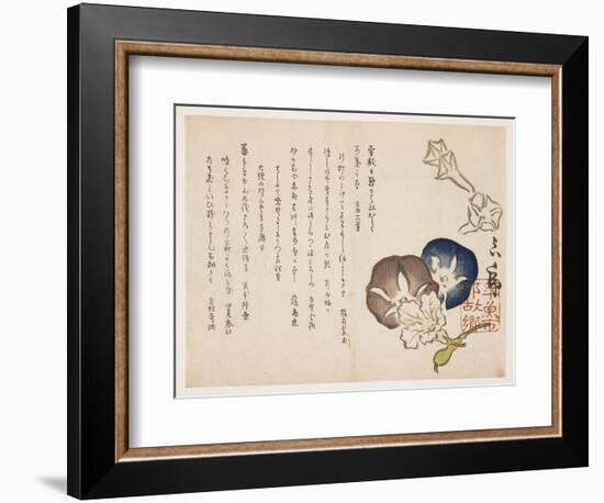 Morning Glories, C.1830-?ishi Matora-Framed Giclee Print