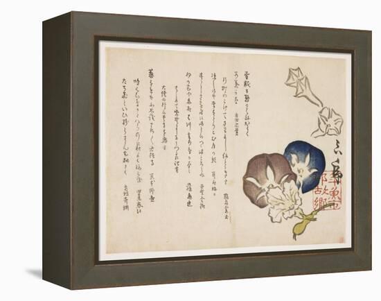 Morning Glories, C.1830-?ishi Matora-Framed Premier Image Canvas