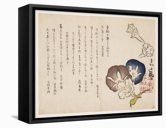 Morning Glories, C.1830-?ishi Matora-Framed Premier Image Canvas