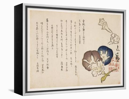 Morning Glories, C.1830-?ishi Matora-Framed Premier Image Canvas