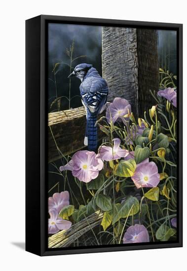 Morning Glories-Michael Budden-Framed Premier Image Canvas