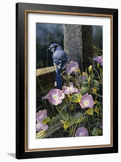 Morning Glories-Michael Budden-Framed Giclee Print