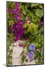 Morning Glory and Bougainvillea Flowers, Princess Cays, Eleuthera, Bahamas-Lisa S^ Engelbrecht-Mounted Photographic Print