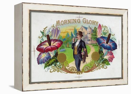 Morning Glory Brand Cigar Box Label-Lantern Press-Framed Stretched Canvas