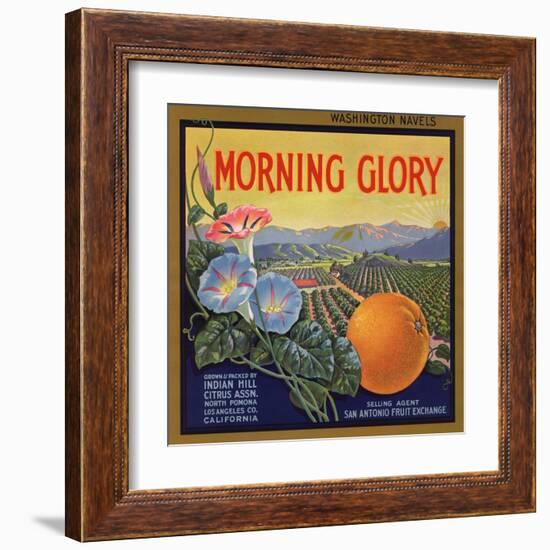 Morning Glory Brand - Pomona, California - Citrus Crate Label-Lantern Press-Framed Art Print