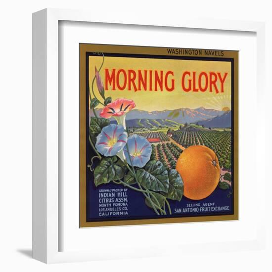 Morning Glory Brand - Pomona, California - Citrus Crate Label-Lantern Press-Framed Art Print