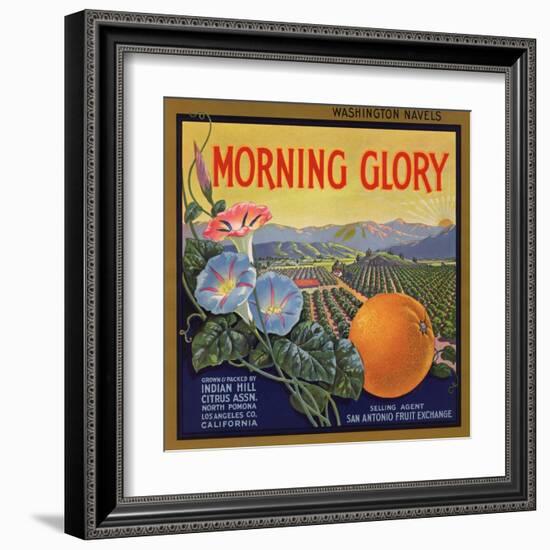 Morning Glory Brand - Pomona, California - Citrus Crate Label-Lantern Press-Framed Art Print